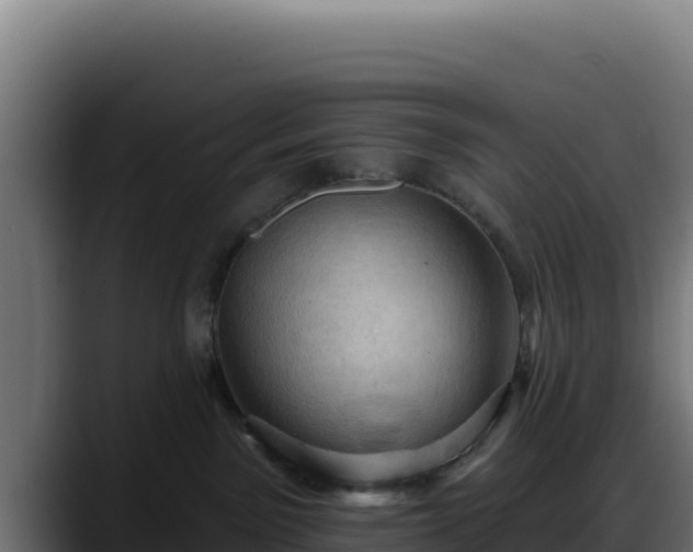 X0000088380141200705291355