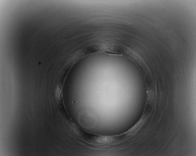 X0000088380142200705291355