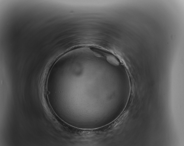 X0000088380145200705291355