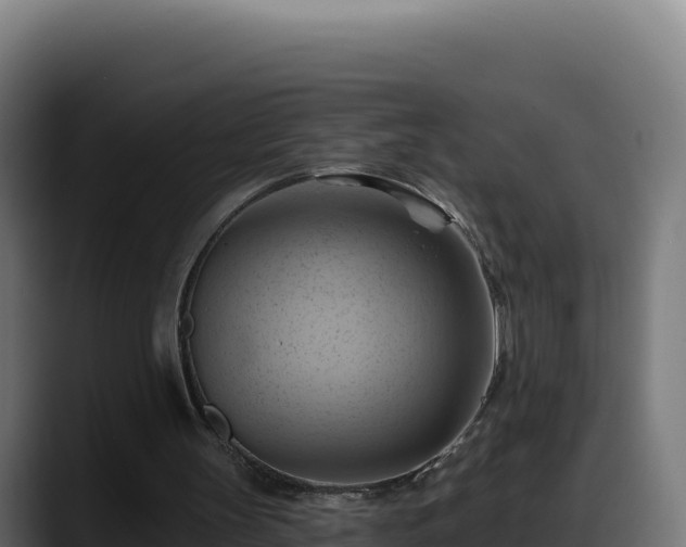 X0000088380147200705291355