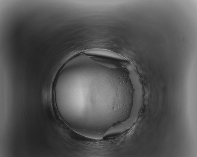 X0000088380148200705291355