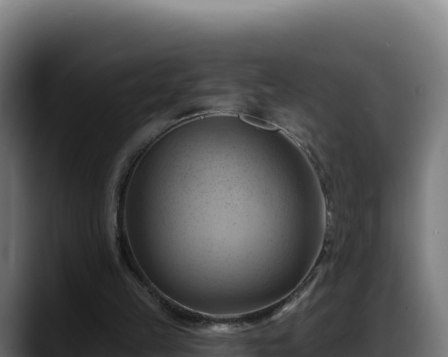 X0000088380149200705291355