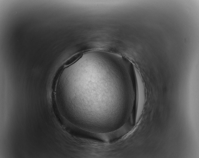 X0000088380150200705291355