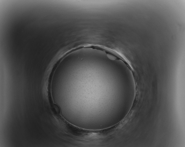 X0000088380151200705291355