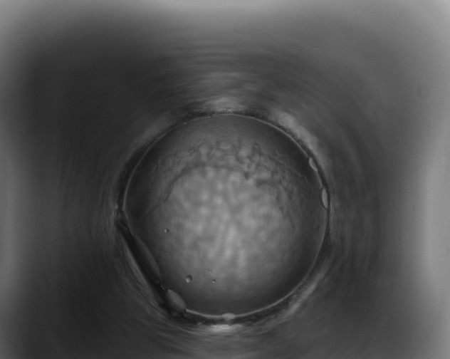 X0000088380153200705291355