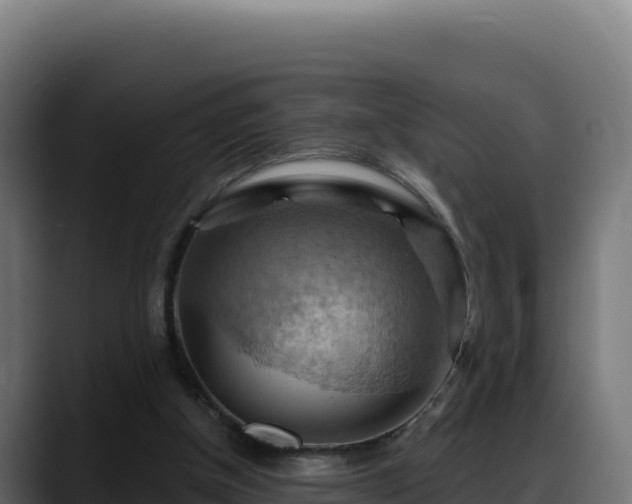 X0000088380154200705291355