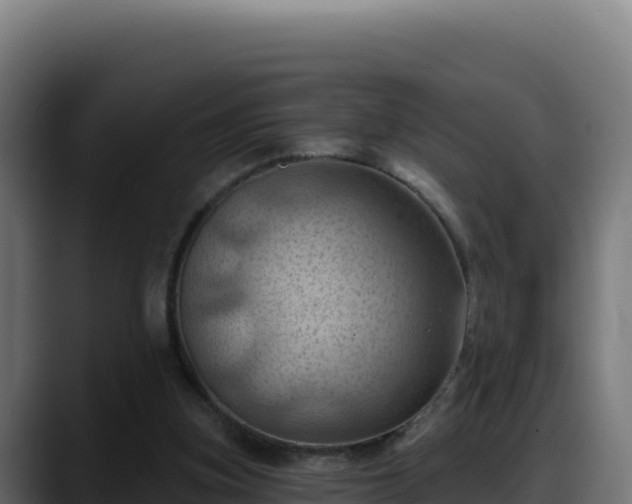 X0000088380155200705291355
