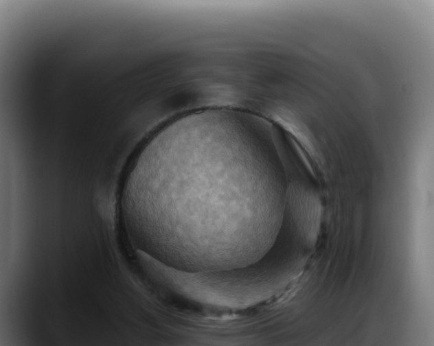 X0000088380156200705291355