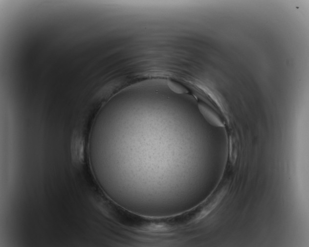 X0000088380157200705291355