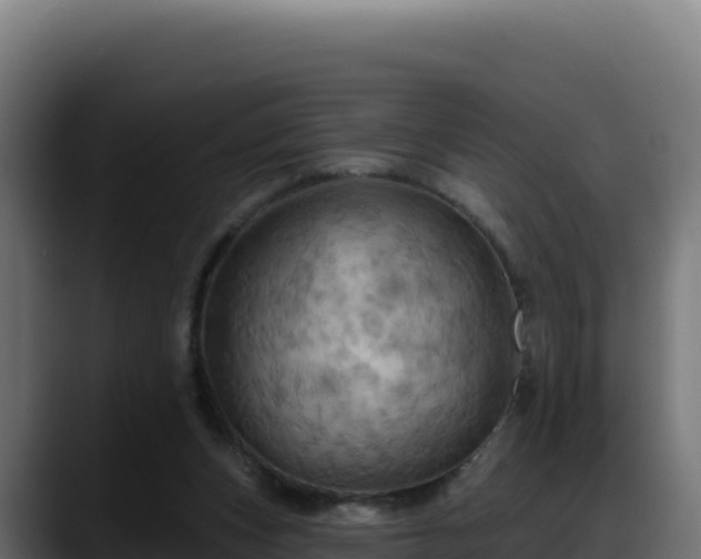 X0000088380159200705291355