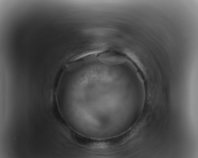 X0000088380161200705291355