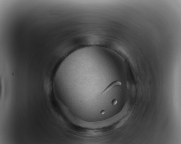 X0000088380164200705291355