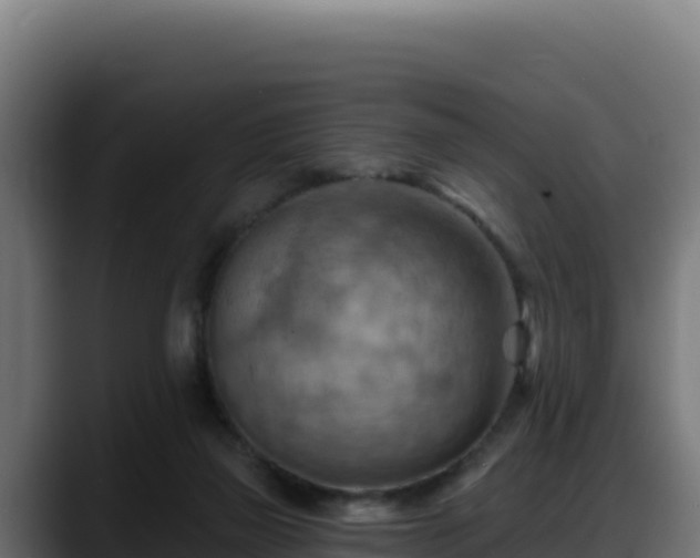 X0000088380165200705291355