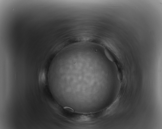 X0000088380166200705291355