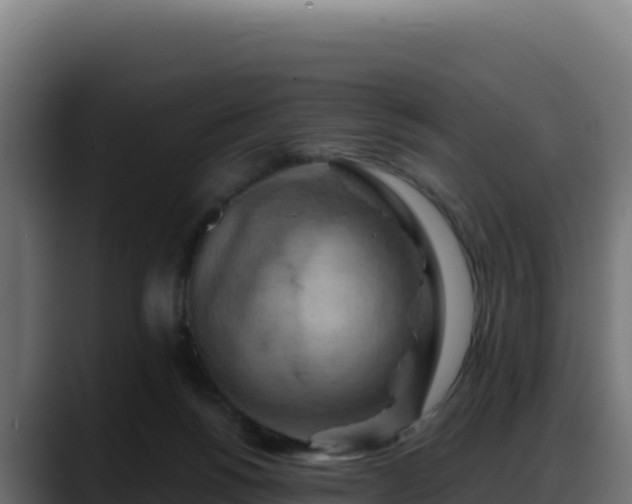 X0000088380168200705291355