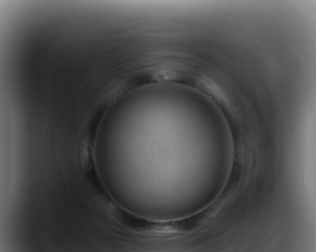 X0000088380169200705291355