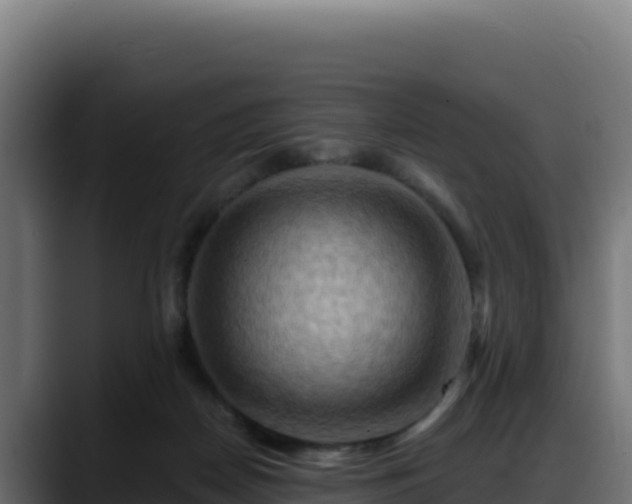X0000088380170200705291355