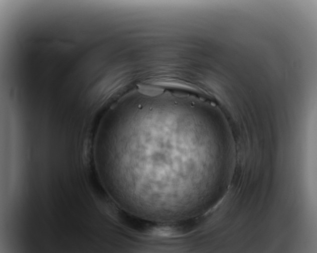 X0000088380171200705291355