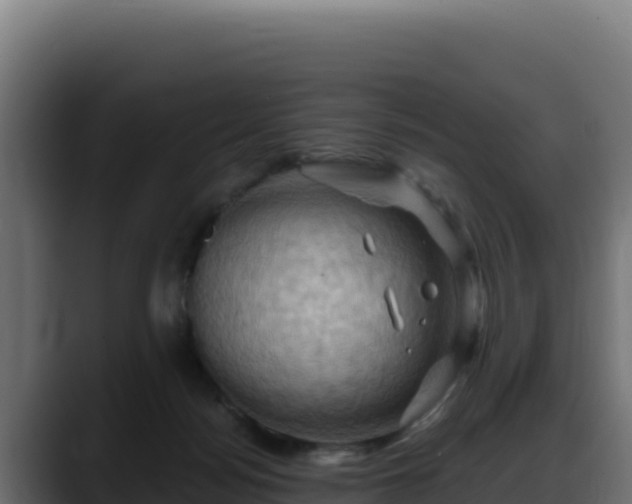 X0000088380172200705291355