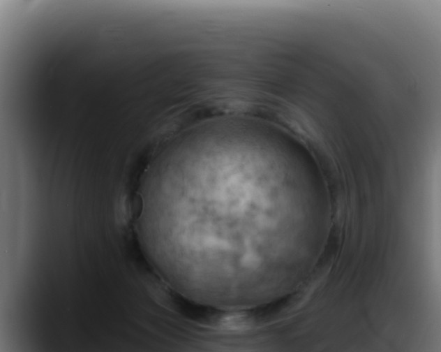 X0000088380173200705291355