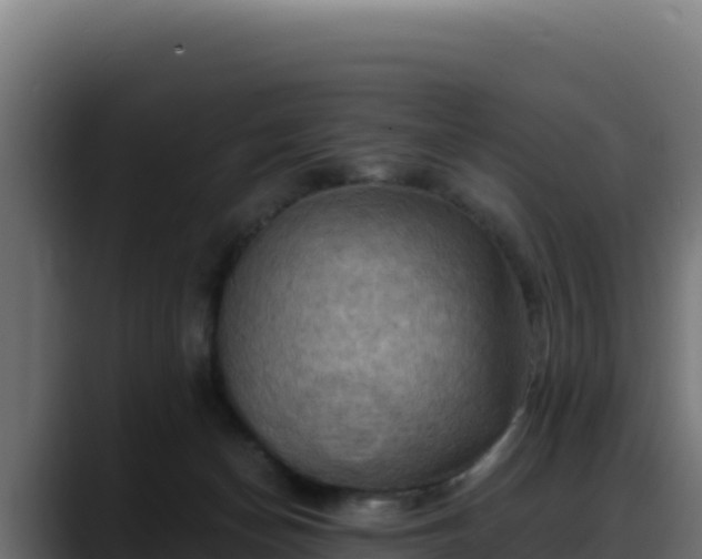 X0000088380174200705291355
