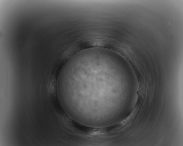 X0000088380175200705291355