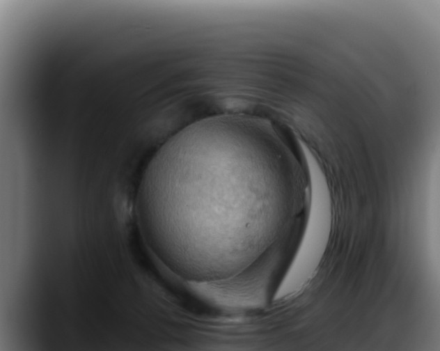 X0000088380176200705291355
