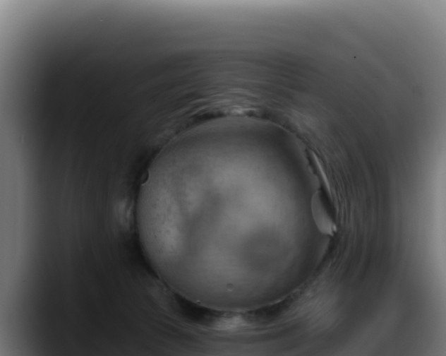 X0000088380177200705291355