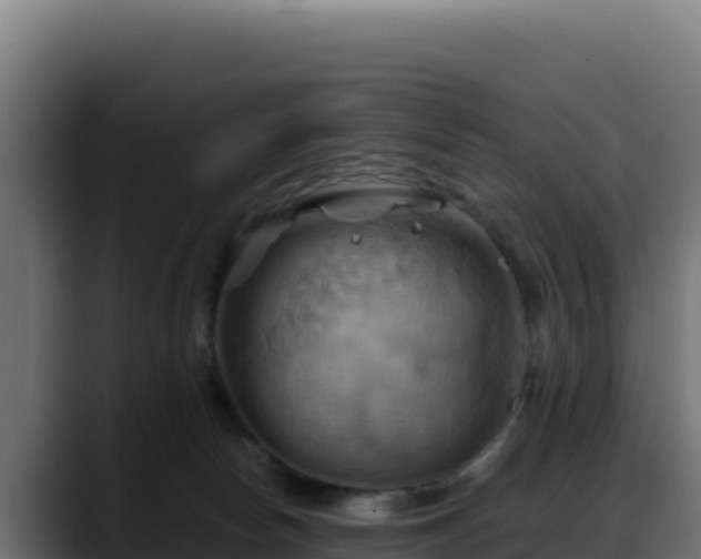 X0000088380178200705291355
