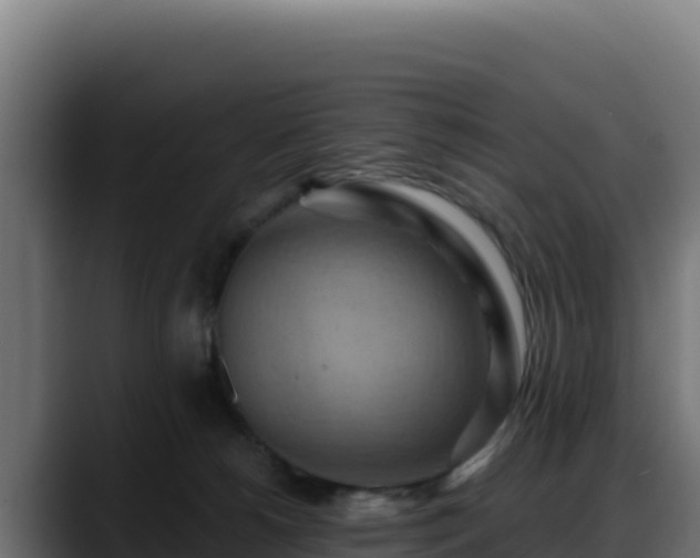 X0000088380180200705291355