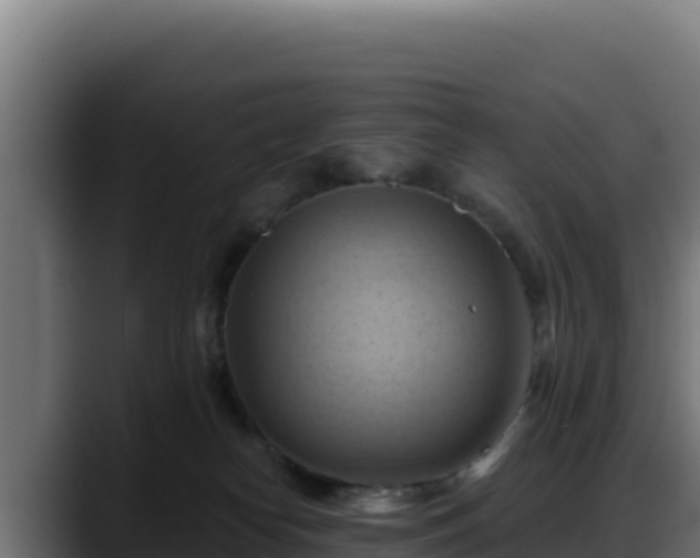 X0000088380182200705291355