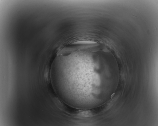 X0000088380185200705291355