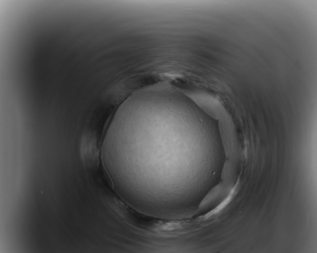 X0000088380186200705291355