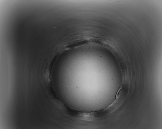 X0000088380187200705291355