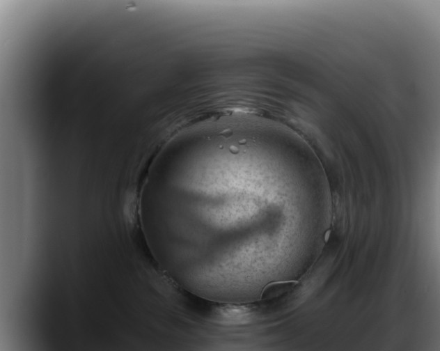 X0000088380189200705291355