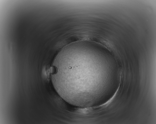 X0000088380190200705291355