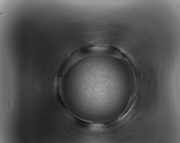 X0000088380192200705291355