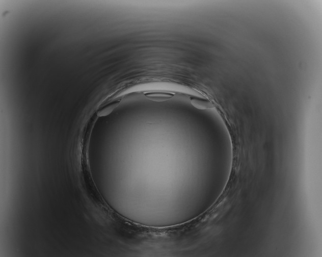 X0000088380194200705291355