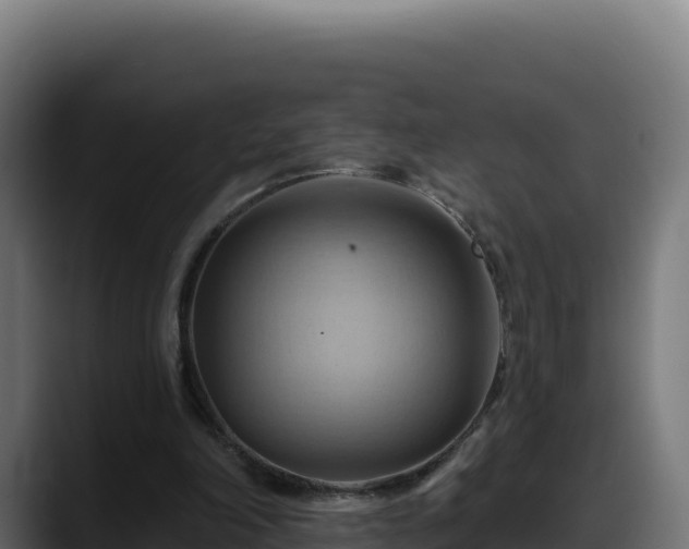 X0000088380198200705291355