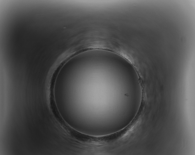X0000088380199200705291355