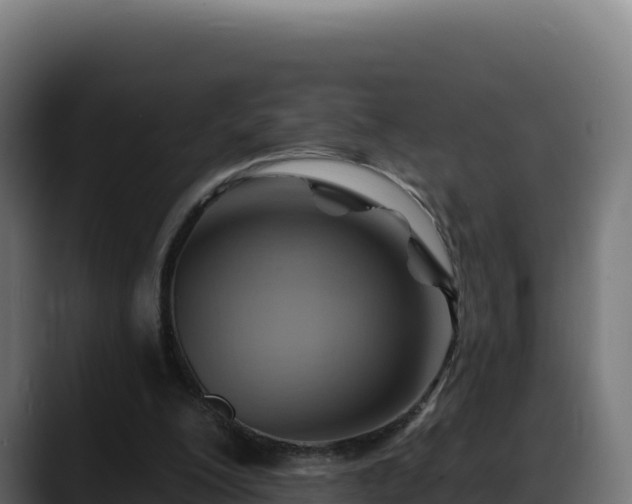 X0000088380200200705291354
