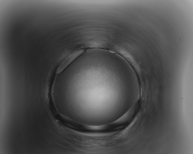 X0000088380201200705291354