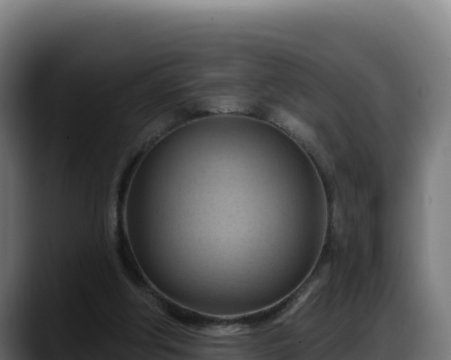 X0000088380202200705291354