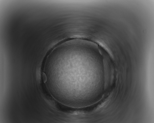 X0000088380204200705291354