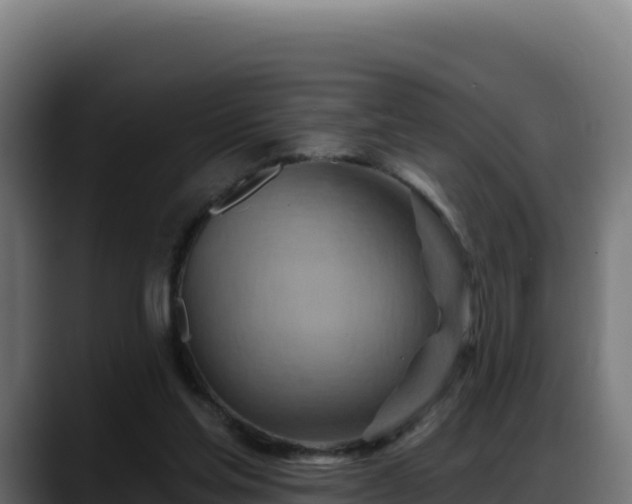 X0000088380205200705291354