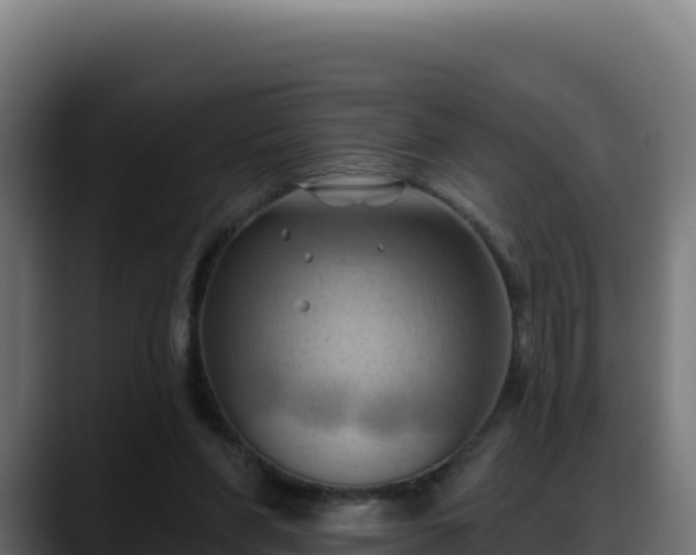 X0000088380206200705291354
