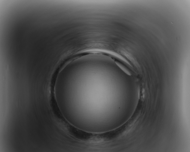 X0000088380207200705291354