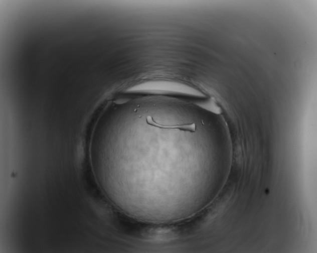 X0000088380208200705291354