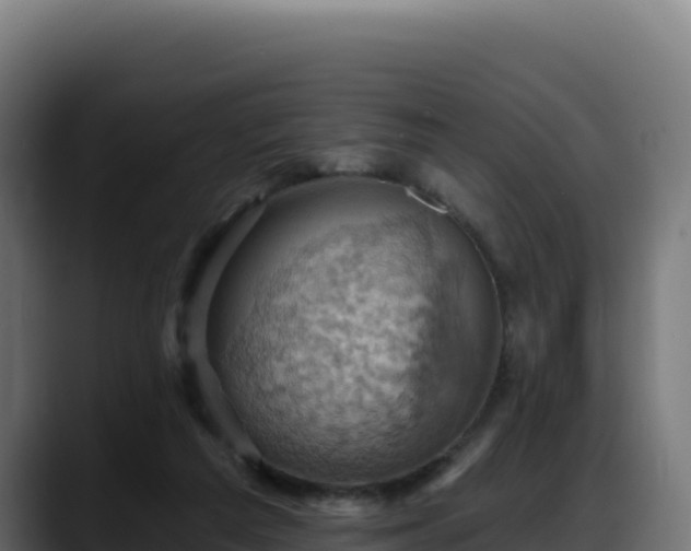 X0000088380209200705291354