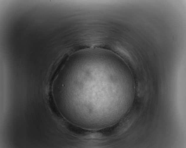 X0000088380210200705291354
